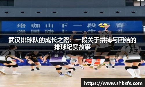 武汉排球队的成长之路：一段关于拼搏与团结的排球纪实故事